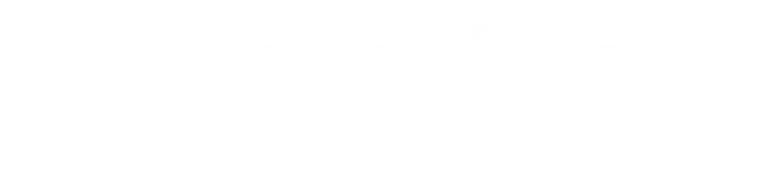 Tiendanube Partners - Líder Gestión es partner de Tiendanube